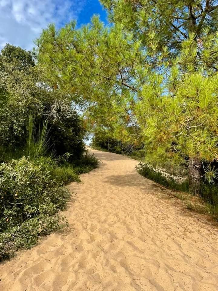 Appart' Islande Le Chateau-d'Oleron
